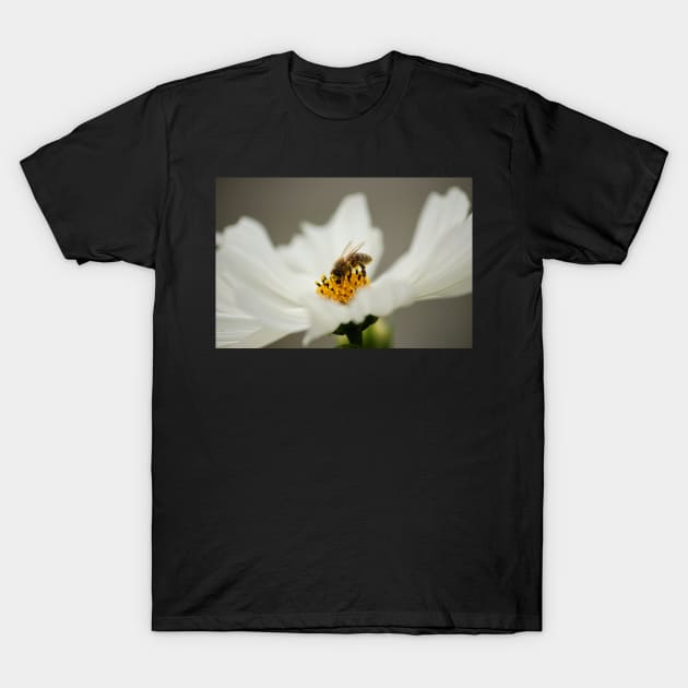 Busy bee T-Shirt by SandiLin